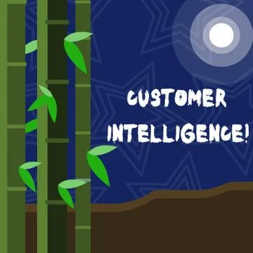 Text sign showing Customer Intelligence. Conceptual photo process of analyzing イラスト素材