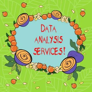 Text sign showing Data Analysis Services. Conceptual photo an analytical data Illustrazione stock