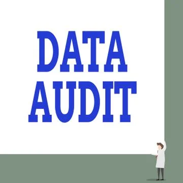 Text sign showing Data Audit. Conceptual photo auditing of data to assess its Illustrazione stock