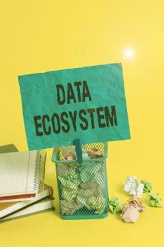 Text sign showing Data Ecosystem. Conceptual photo collection of infrastructure Foto stock