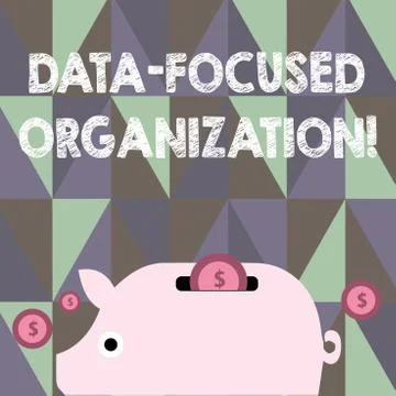 Text sign showing Data Focused Organization. Conceptual photo capture and rei Illustrazione stock