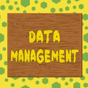 Text sign showing Data Management. Conceptual photo disciplines related to 库存插图