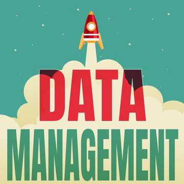 Text sign showing Data Management. Business idea disciplines related to managing 스톡 일러스트