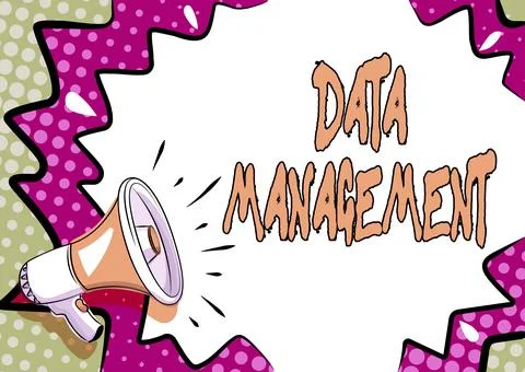 Text sign showing Data Management. Internet Concept The practice of organizing Illustrazione stock