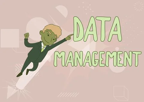 Text sign showing Data Management. Business idea The practice of organizing and 스톡 일러스트