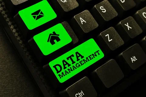 Text sign showing Data Management. Business idea The practice of organizing and 写真素材