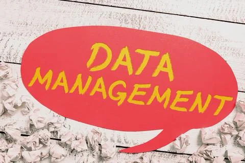 Text sign showing Data Management. Concept meaning disciplines related to Foto stock
