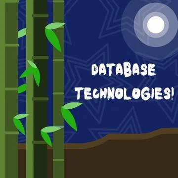 Text sign showing Database Technologies. Conceptual photo Organization of a 库存插图
