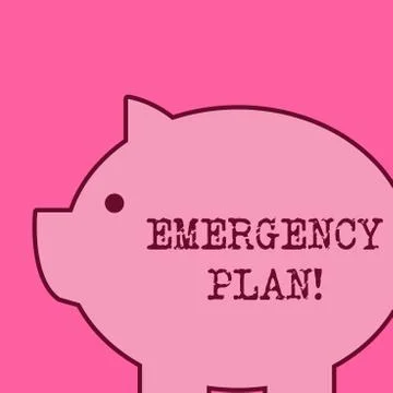 Text sign showing Emergency Plan. Conceptual photo actions developed to mitigate 스톡 일러스트