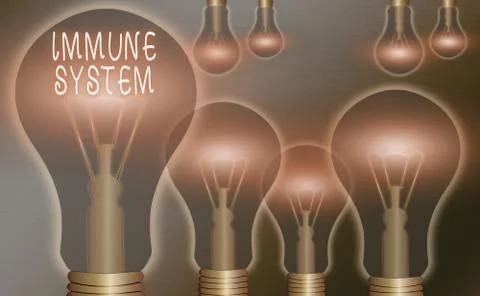Text sign showing Immune System. Conceptual photo Complex network work together Illustrazione stock