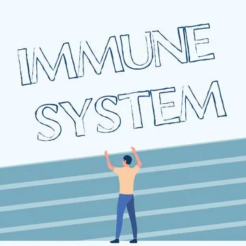 Text sign showing Immune System. Business approach Complex network work together Stock Illustration