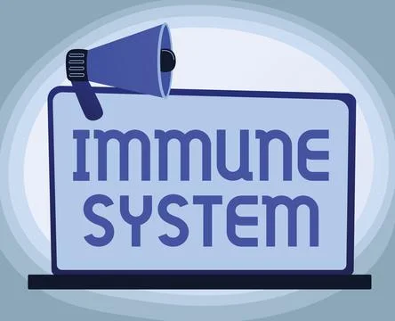 Text sign showing Immune System. Business idea Complex network work together to Illustrazione stock