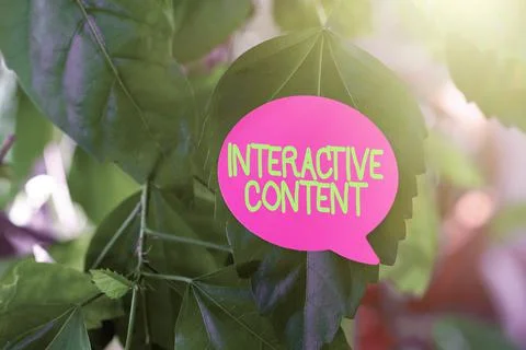 Text sign showing Interactive Content. Business concept It requires the Stock Photos