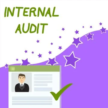 Text sign showing Internal Audit. Conceptual photo Evaluates the effectiveness Illustrazione stock