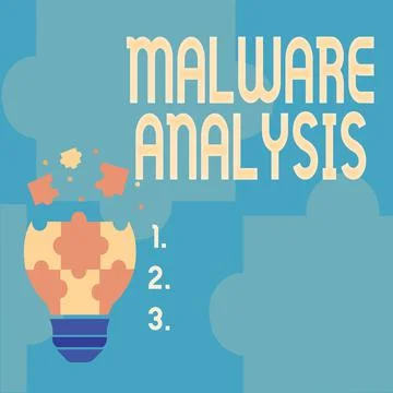 Text sign showing Malware Analysis. Word Written on performs deep analysis of Stock Illustration