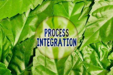 Text sign showing Process Integration. Business concept sharing of data and Foto stock