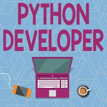 Text sign showing Python Developer. Business idea responsible for writing Stock Illustration