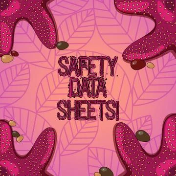 Text sign showing Safety Data Sheets. Conceptual photo document lists Stock Illustration