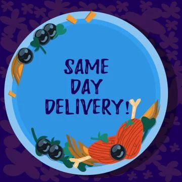 Text sign showing Same Day Delivery. Conceptual photo order will leave our Illustrazione stock