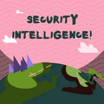 Text sign showing Security Intelligence. Conceptual photo protecting an Stock Illustration
