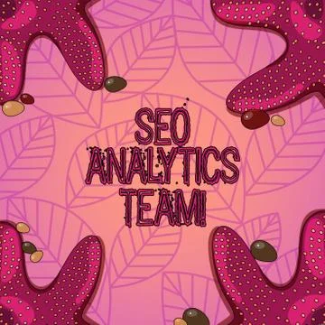Text sign showing Seo Analytics Team. Conceptual photo showing who make process 스톡 일러스트