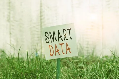 Text sign showing Smart Data. Conceptual photo digital information that is Foto stock