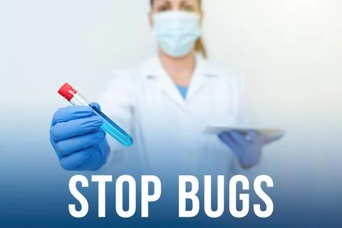Text sign showing Stop Bugs. Business showcase Get rid an insect or similar 스톡 사진