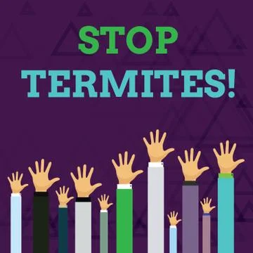 Text sign showing Stop Termites. Conceptual photo prevent a small tropical Stock Illustration