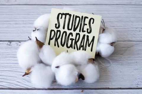 Text sign showing Studies Program. Business concept Platform help move you Stock Photos