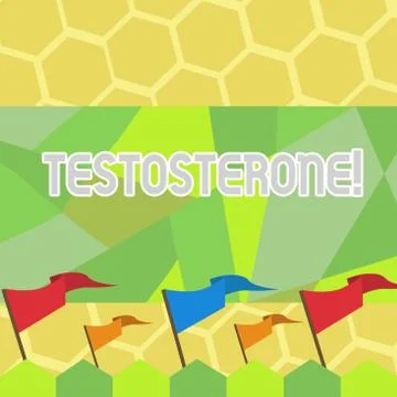 Text sign showing Testosterone. Conceptual photo Male hormones development and Stock Illustration