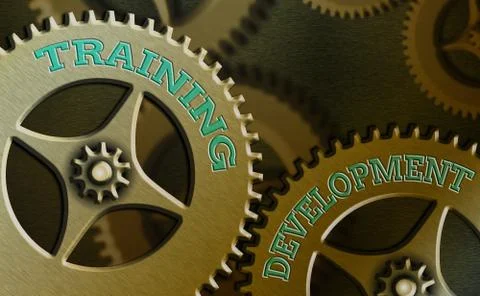 Text sign showing Training Development. Conceptual photo Learn and Expand skills Illustrazione stock