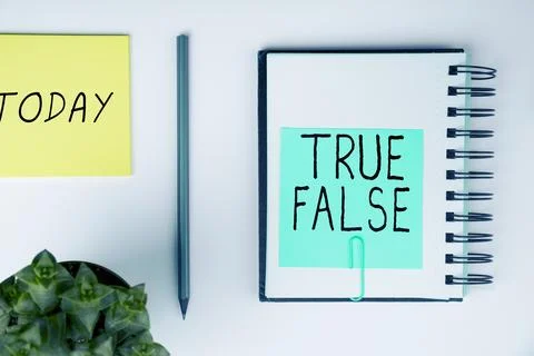 Text sign showing True False. Business approach a test consisting of a series of Stock Photos