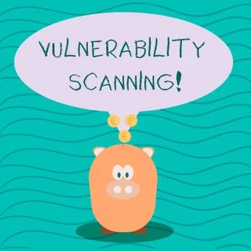 Text sign showing Vulnerability Scanning. Conceptual photo Check of the Stockillustratie