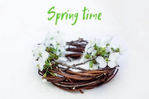 Text Spring Time. wreath of branches and cherry blossom on white background Stock Photos