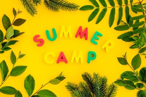 Text Summer Camp with green tree branches. Forest kids camp concept Foto stock