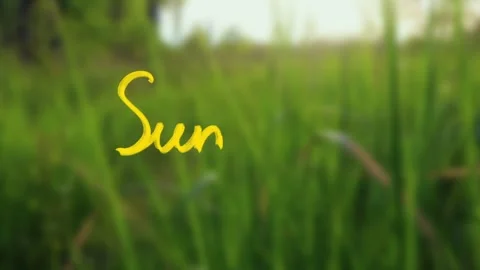 Text “Summer” - hand writing, typography, calligraphy. Script hand writing. Stock Footage 241507417