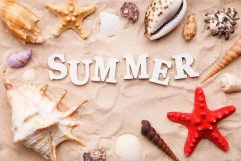 Text Summer from white letters and sea shells and starfish on sand Stock Photos