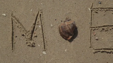 Text Summer Written on the Sand of a Beach. The Sea on a Background of Letters Stock Footage 166696265