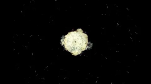 Text: WELCOME - Glass shards fly towards us after an explosion - motion Stock Footage 113734664
