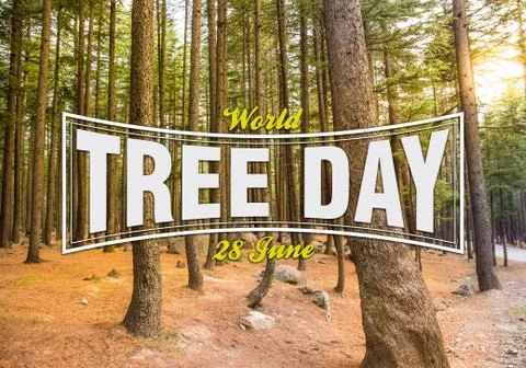 Text of World tree day 28 June, Love nature concept Stock Photos