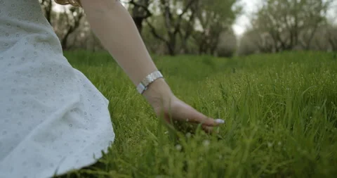 TextA Hand Reaching for Nature in a Green Field,keywordsaesthetic,beauty,calm Stock Footage 301708250
