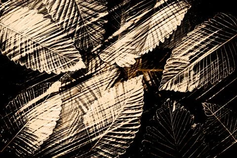 Textile Fabric Print Pattern Stock Illustration