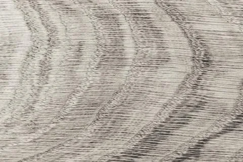 Textile. Gray material or pattern with wood grain. Texture. Black and white Foto stock