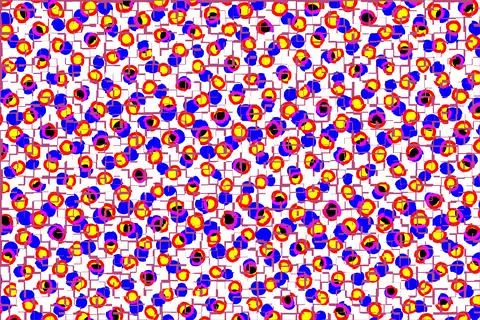 Textile illustration render.Textile fabric print pattern Stock Illustration
