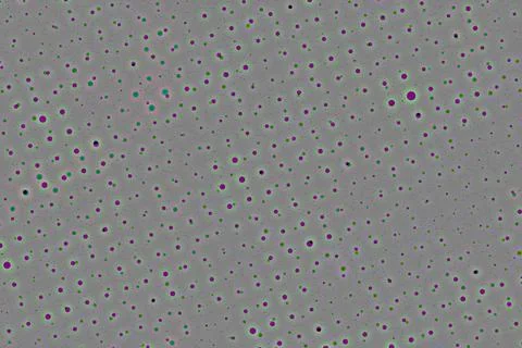Textile illustration render.Textile fabric print pattern Illustrazione stock