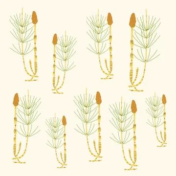 Textile Pattern Horse Tail Stock Illustration