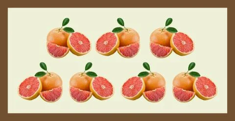 Textile Print Manually Illustrated Artwork Illustrazione stock