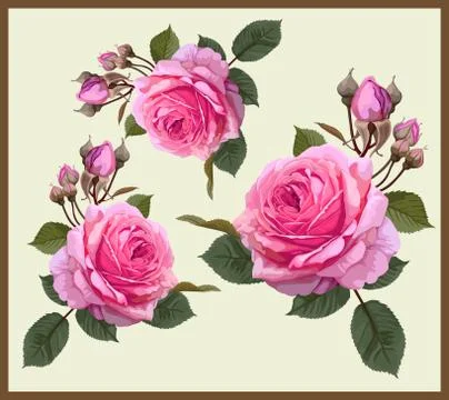 Textile Print Manually Illustrated Artwork Illustrazione stock