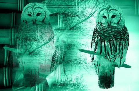 Textile printing,pattern illustration,for textile illustration Stock Illustration