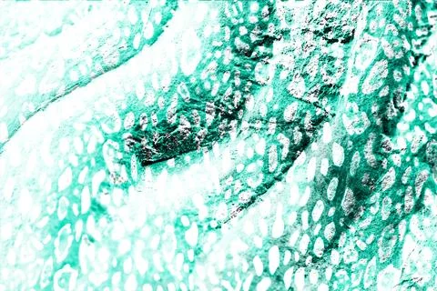 Textile printing,pattern illustration,for textile illustration Stock Illustration